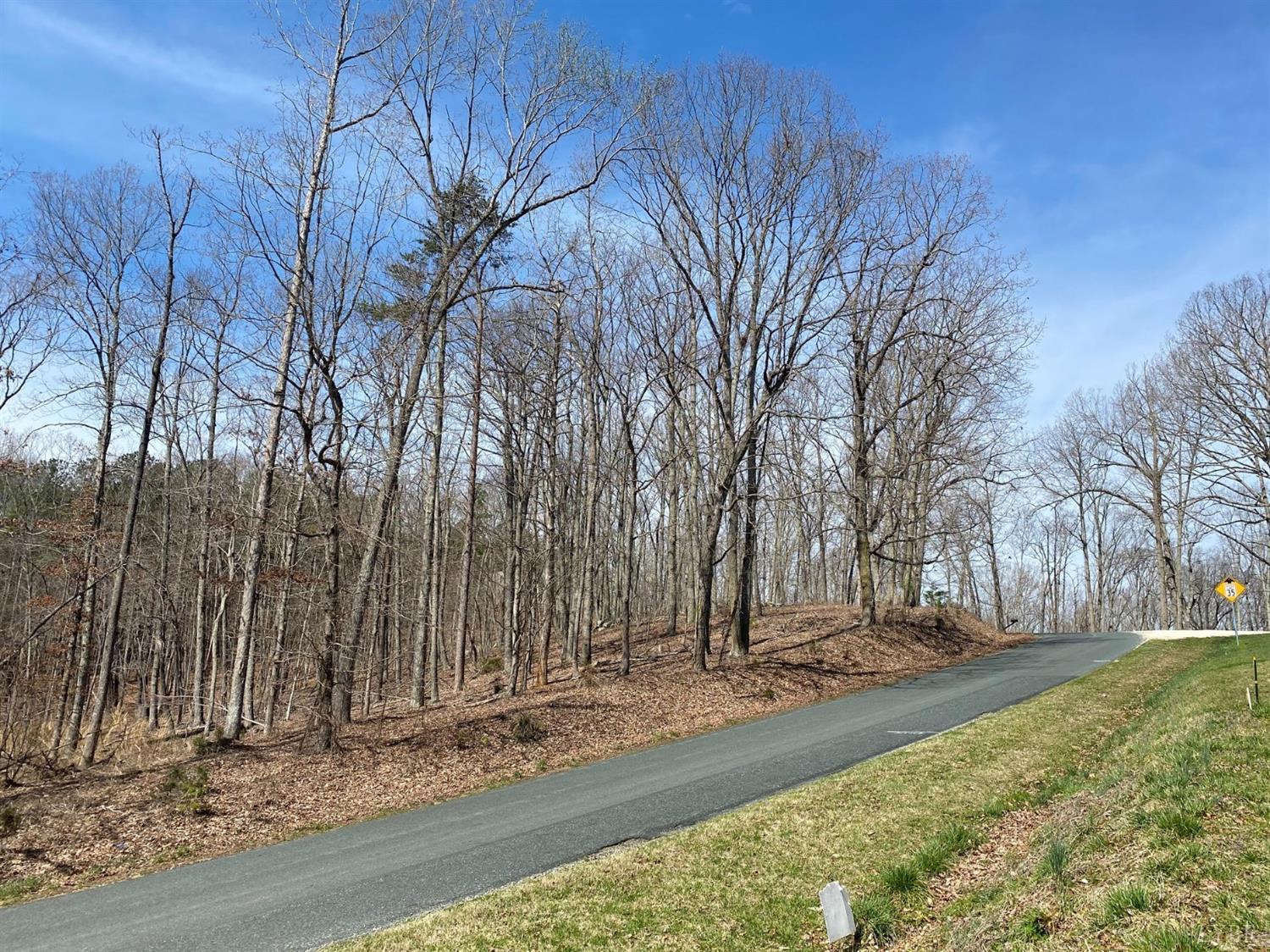 2-lot Country Club Road Appomattox, VA 24522 - Photo 3 of 10 a view of yard with tree