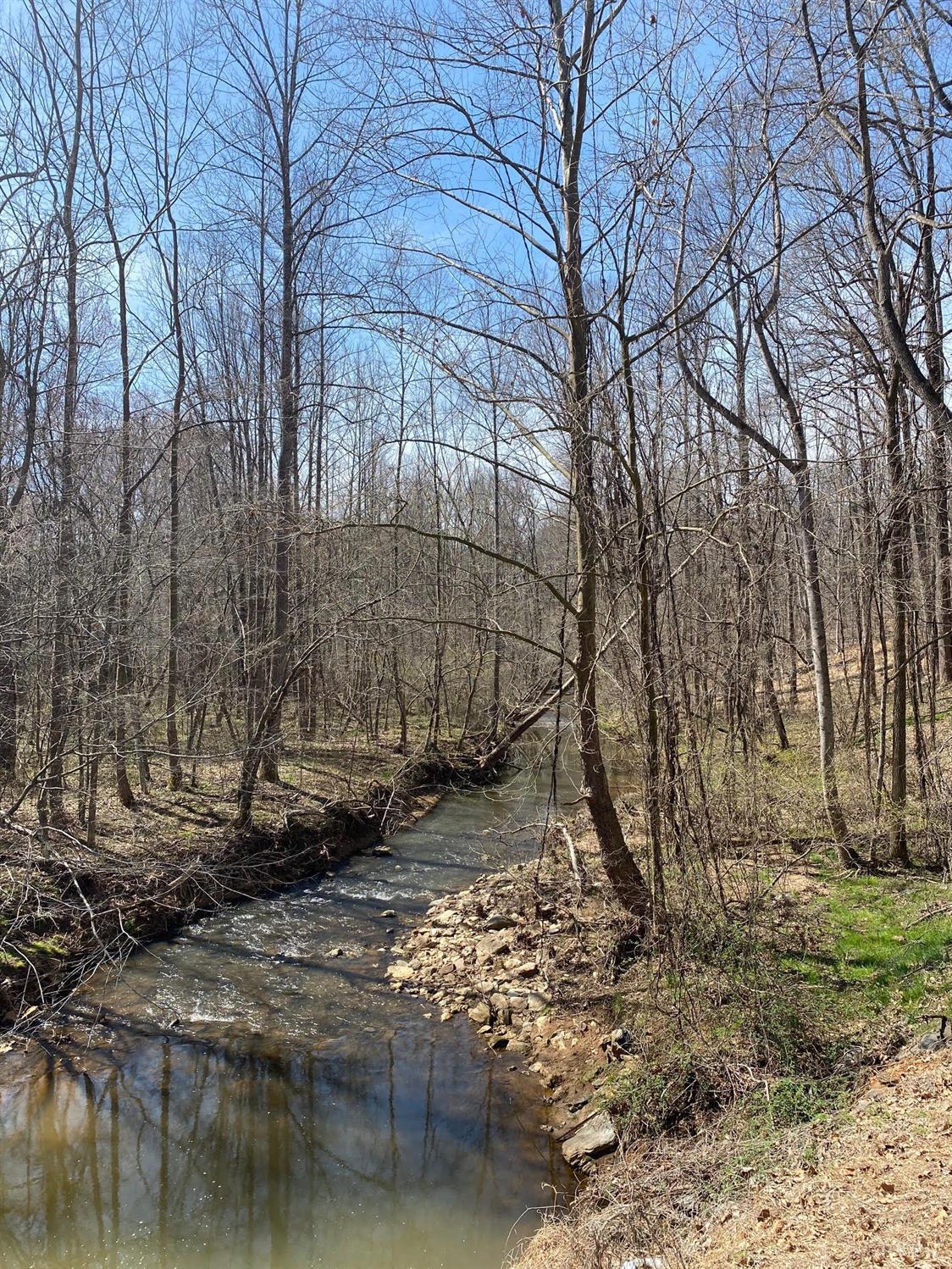 2-lot Country Club Road Appomattox, VA 24522 - Photo 4 of 10 a backyard of a house with lots of green space