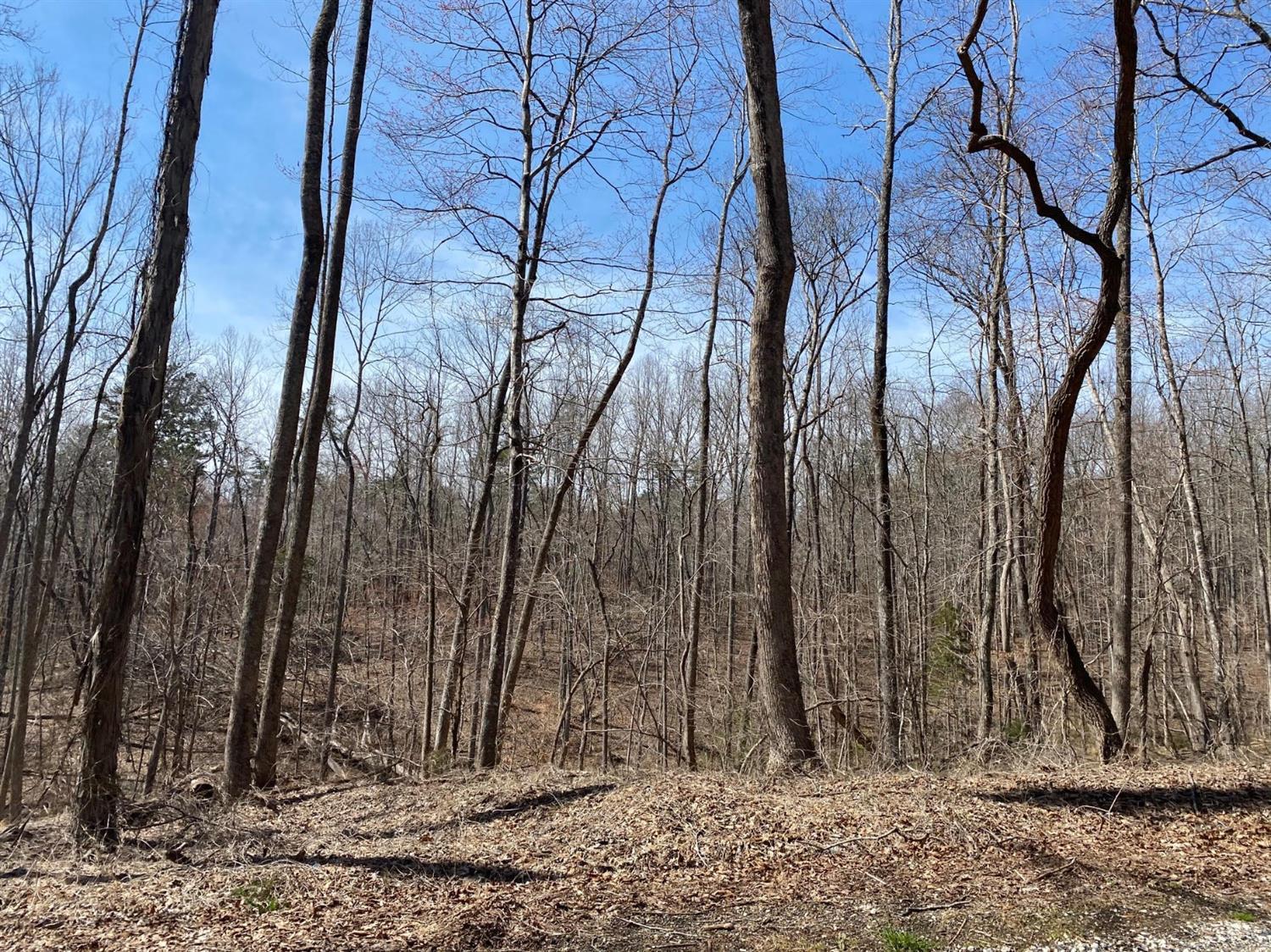 2-lot Country Club Road Appomattox, VA 24522 - Photo 6 of 10 a backyard of a house with lots of green space