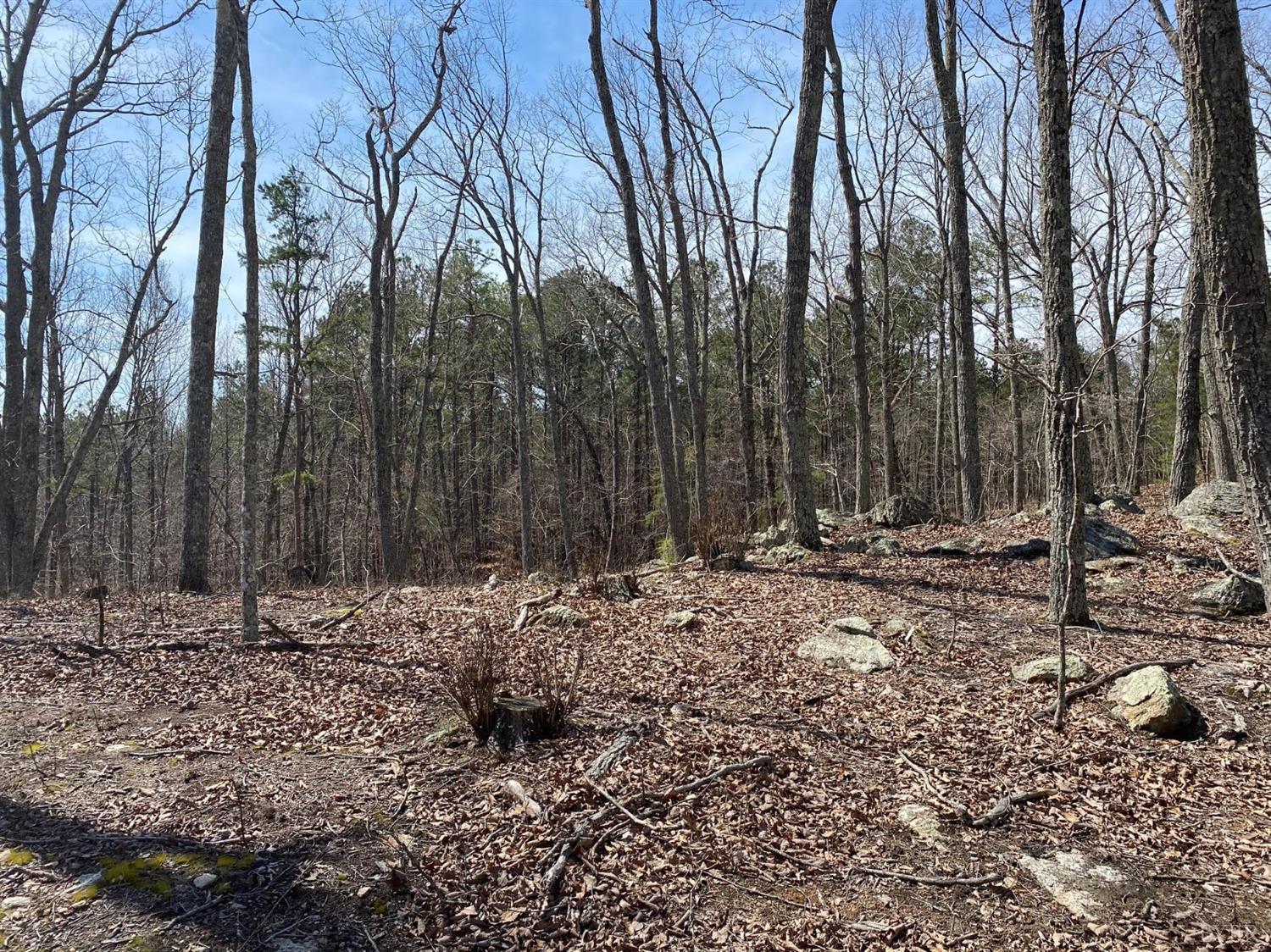 2-lot Country Club Road Appomattox, VA 24522 - Photo 7 of 10 a view of a backyard of the house