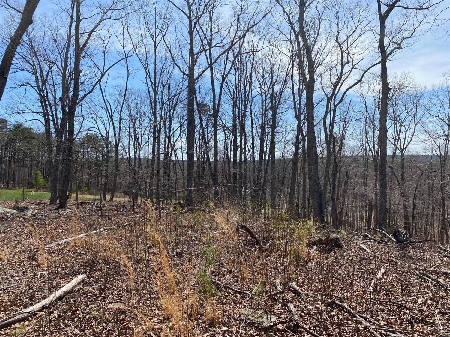 2-lot Country Club Road Appomattox, VA 24522 - Photo 9 of 10 a view of backyard with green space
