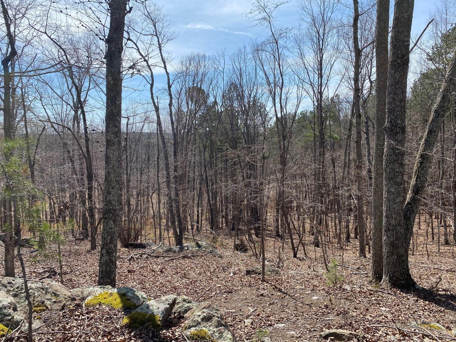 2-lot Country Club Road Appomattox, VA 24522 - Photo 10 of 10 a backyard of a house with lots of green space