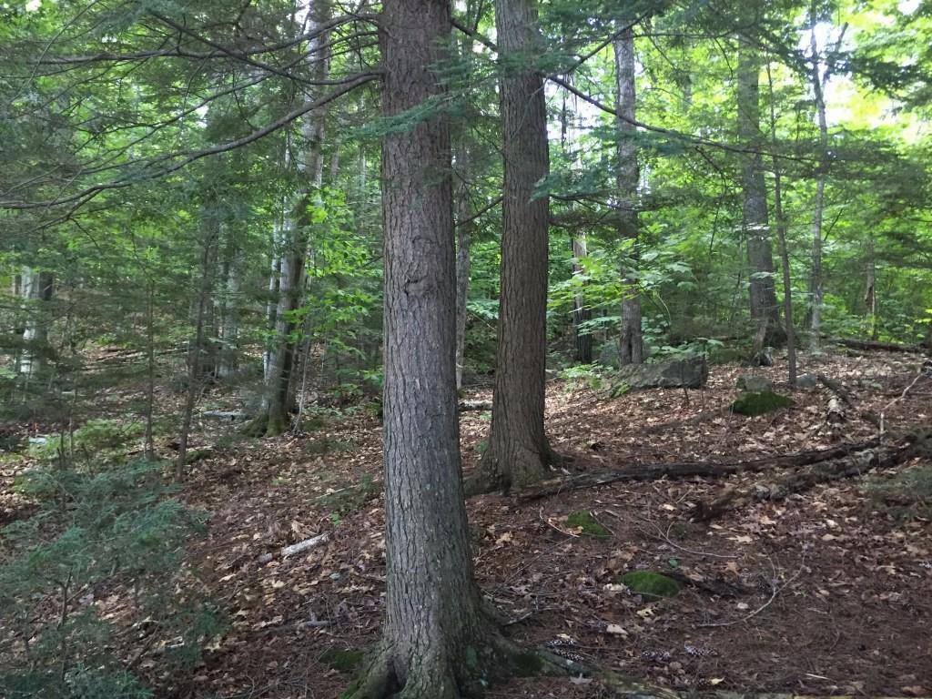 402 East Shore Road Peru, ME 04290 - Photo 20 of 29 Photo