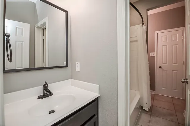 a bathroom with a sink and a mirror