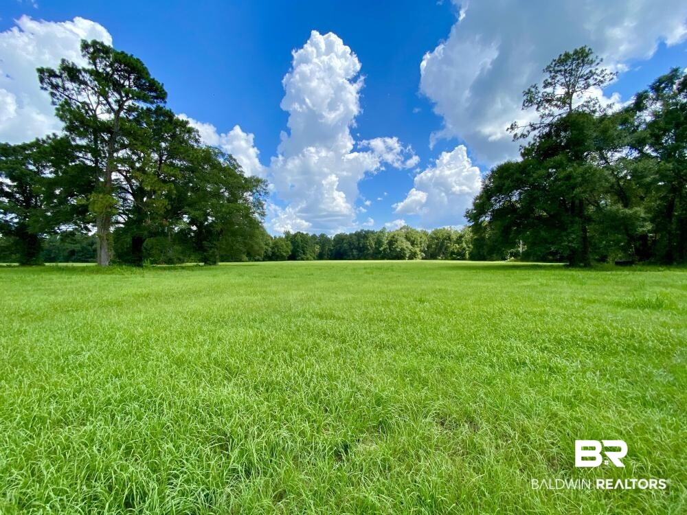 0 Old Ganey Road Stockton, AL 36579 - Photo 37 of 45