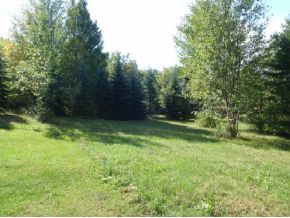972 Sapbush Road Chenango Forks, NY 13746 - Photo 16 of 16 Gallery Image 16