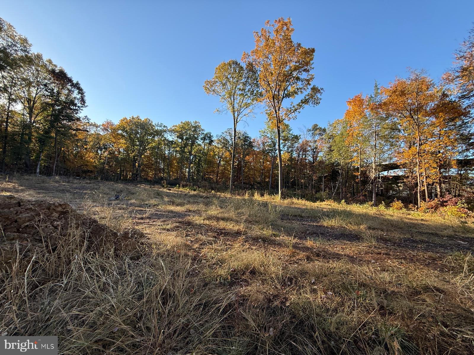 16120 Brandy Road Culpeper, VA 22701 - Photo 21 of 30 Gallery Image 21