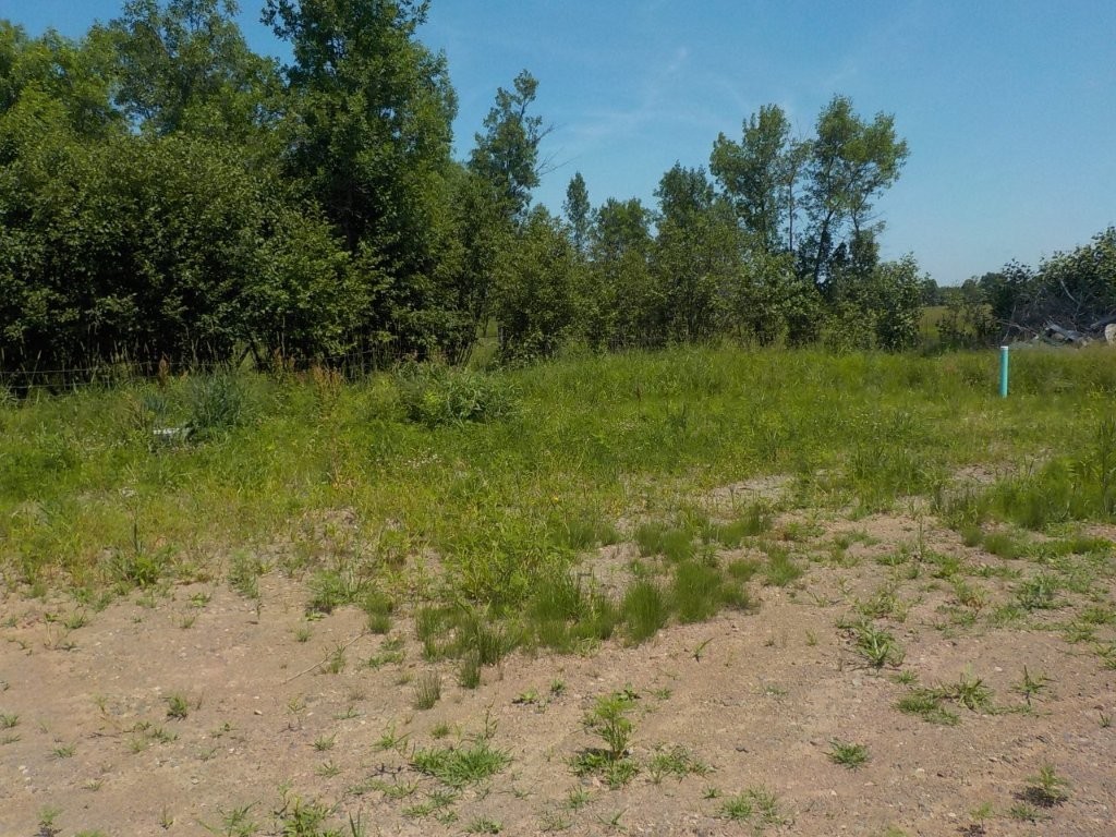 9888 North Mudhen Lake Road Siren, WI 54872 - Photo 4 of 13
