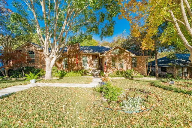 a view of a yard with plants and trees