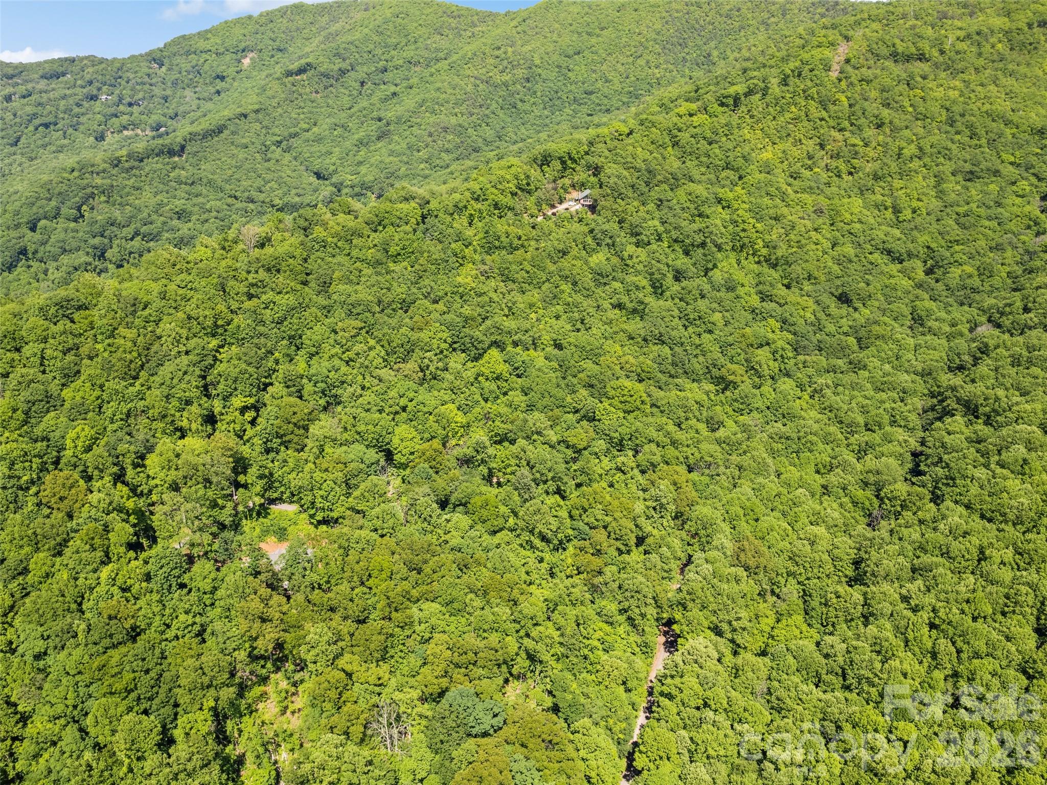 0 Rustic Road Waynesville, NC 28786 - Photo 9 of 11