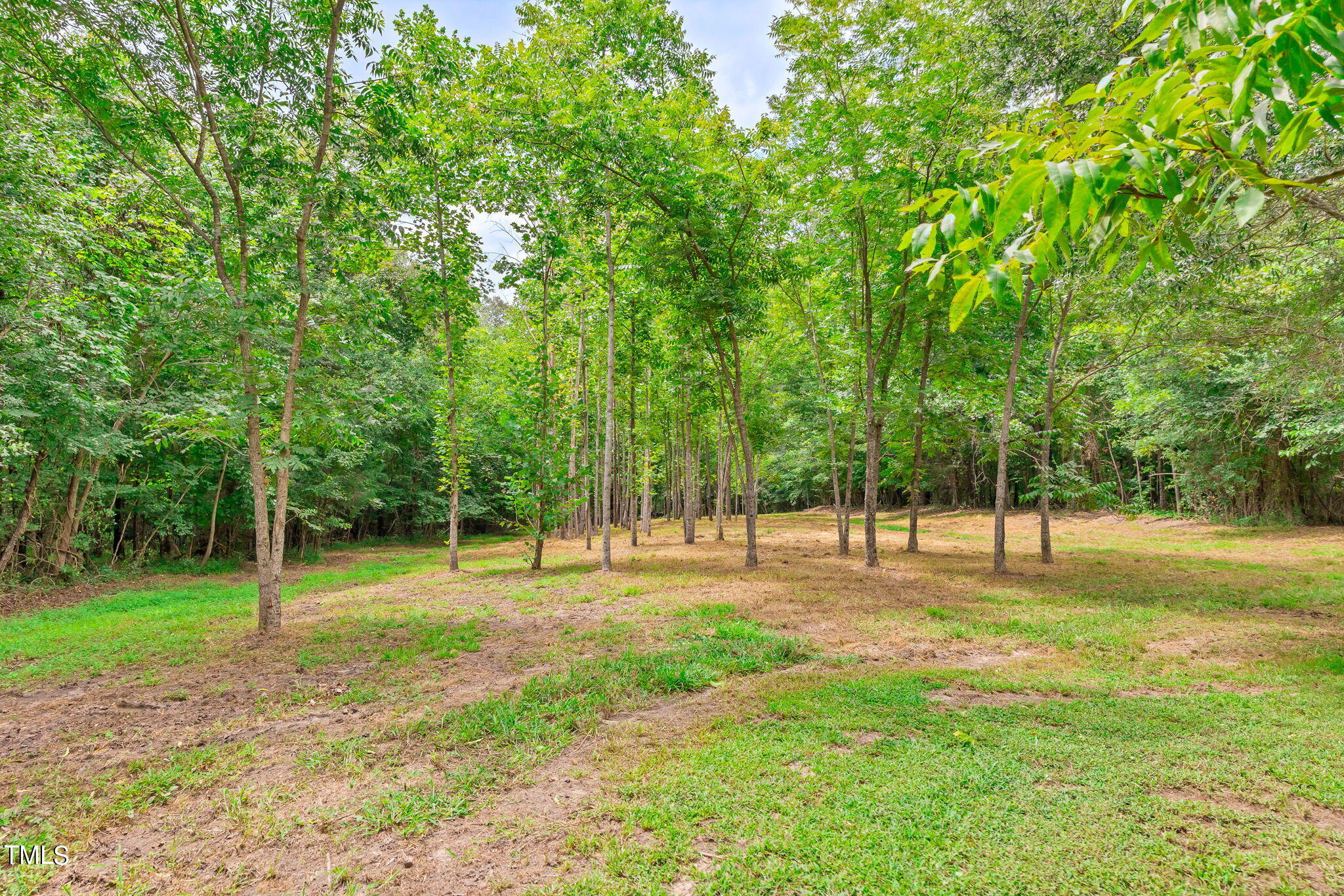 1102 Elon Ossipee Road Elon, NC 27244 - Photo 22 of 24 1102 Elon Ossipee Rd-133