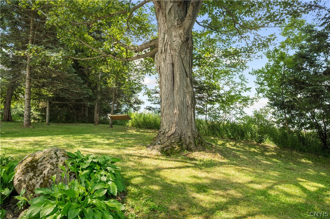 3546 Center Road Madison, NY 13402 - Photo 18 of 50