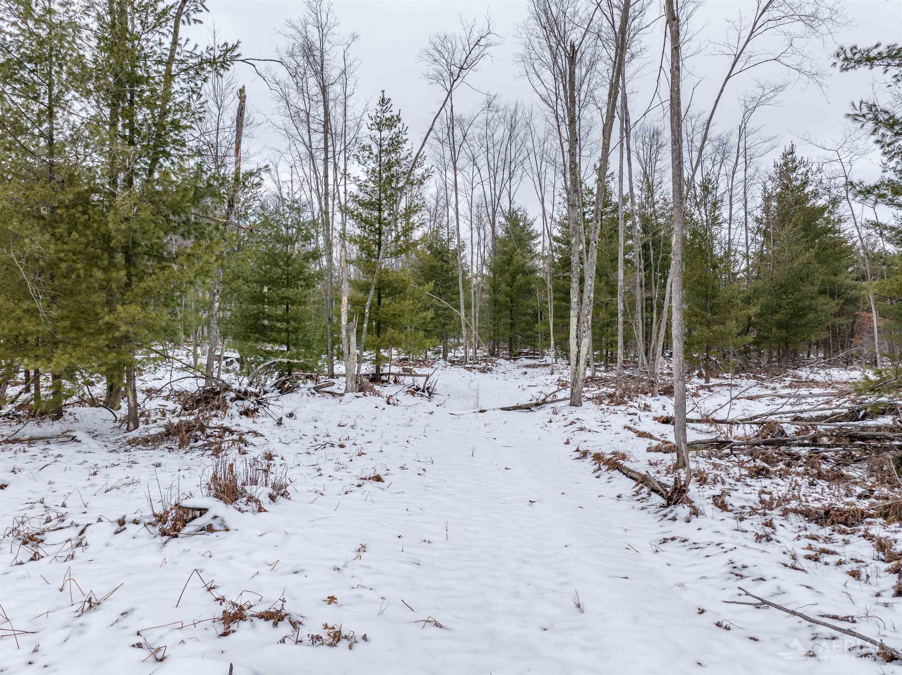 0 East Greenwood Road Prescott, MI 48756 - Photo 8 of 11