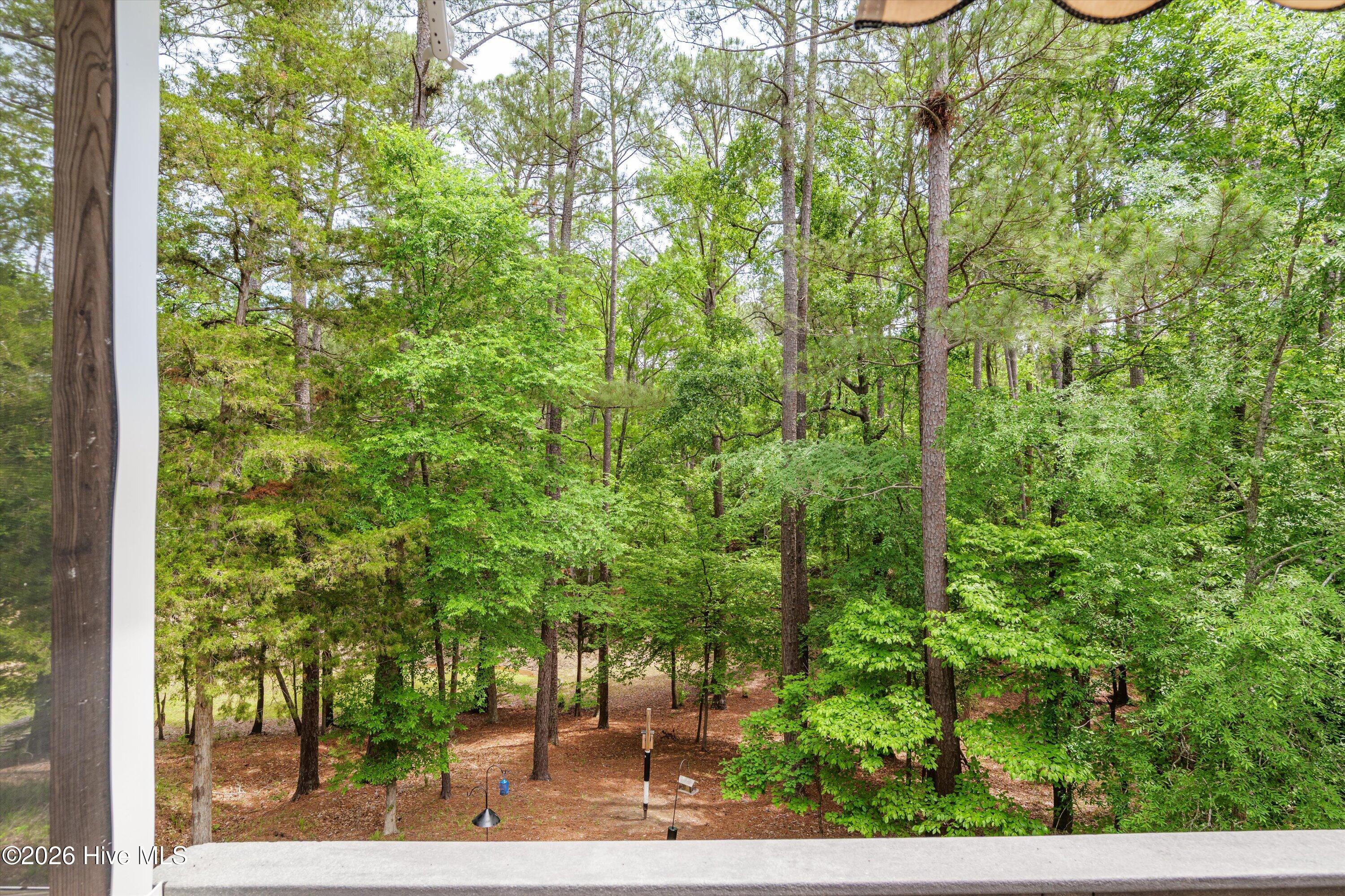 125 Lake Ridge Drive McCormick, SC 29835 - Photo 56 of 84 55-P2099232