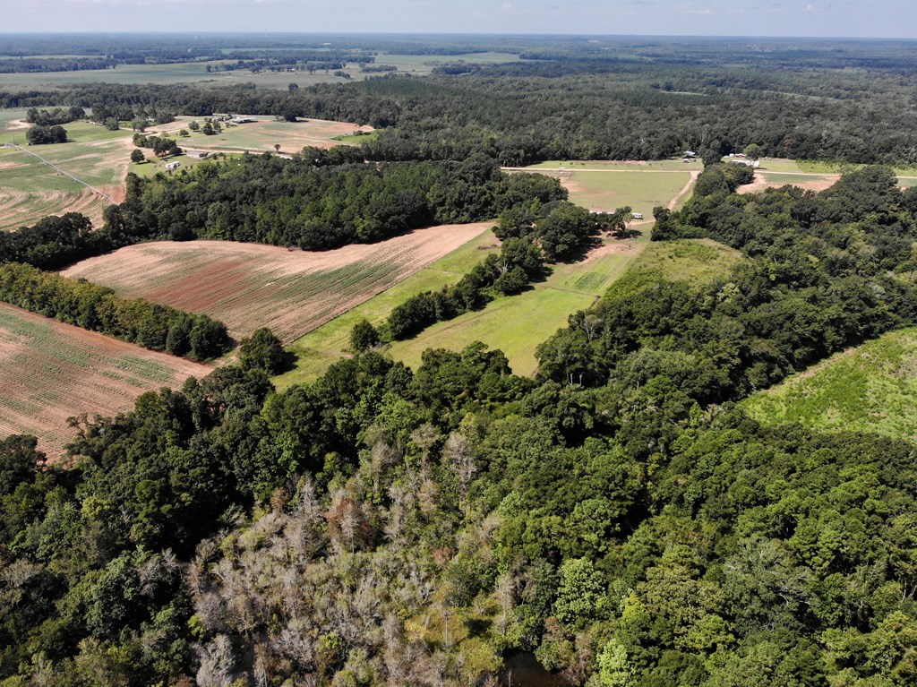543 St Stephens Road Slocomb, AL 36375 - Photo 2 of 22