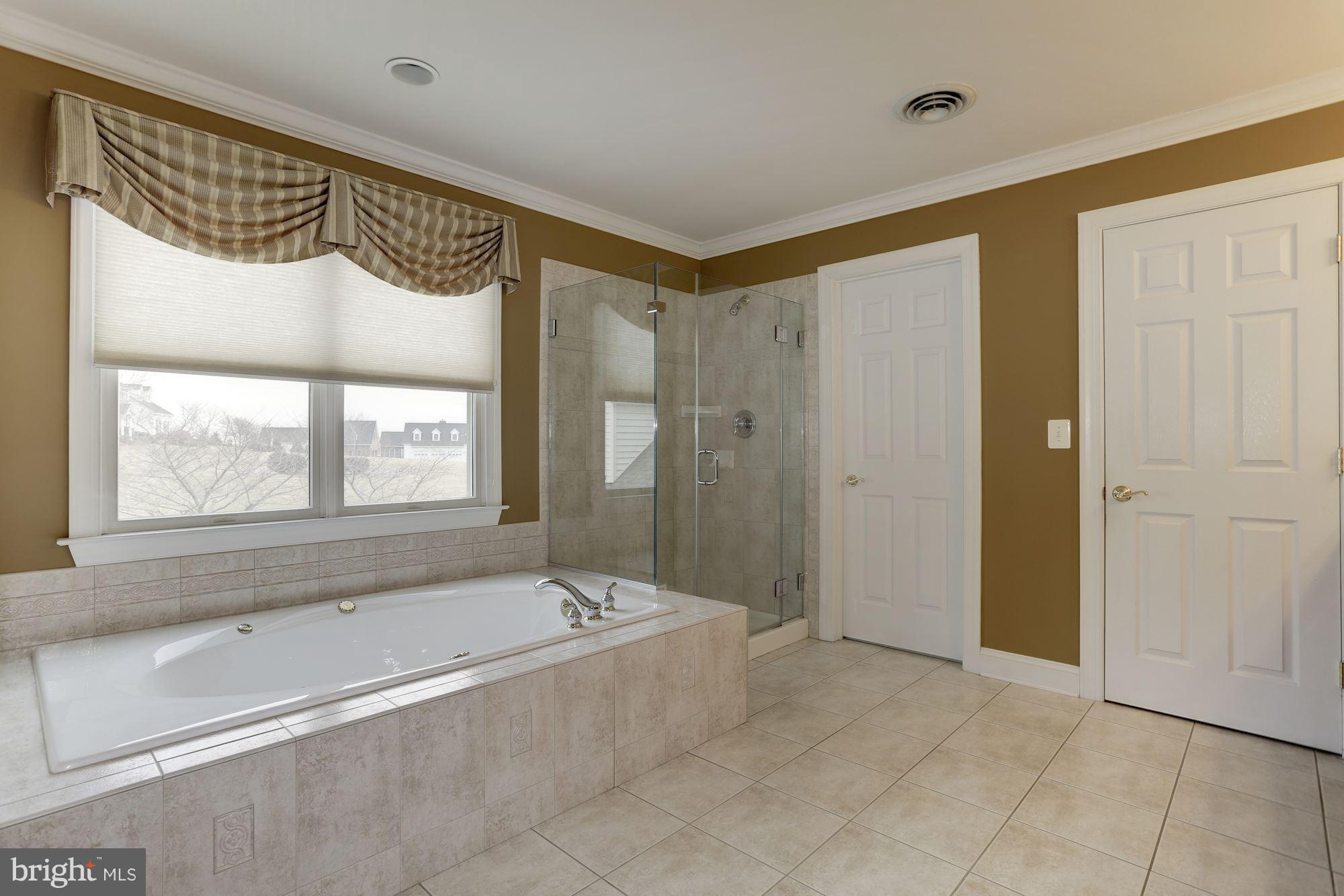 2976 Lonesome Dove Road Mount Airy, MD 21771 - Photo 18 of 30 En Suite Master Bath