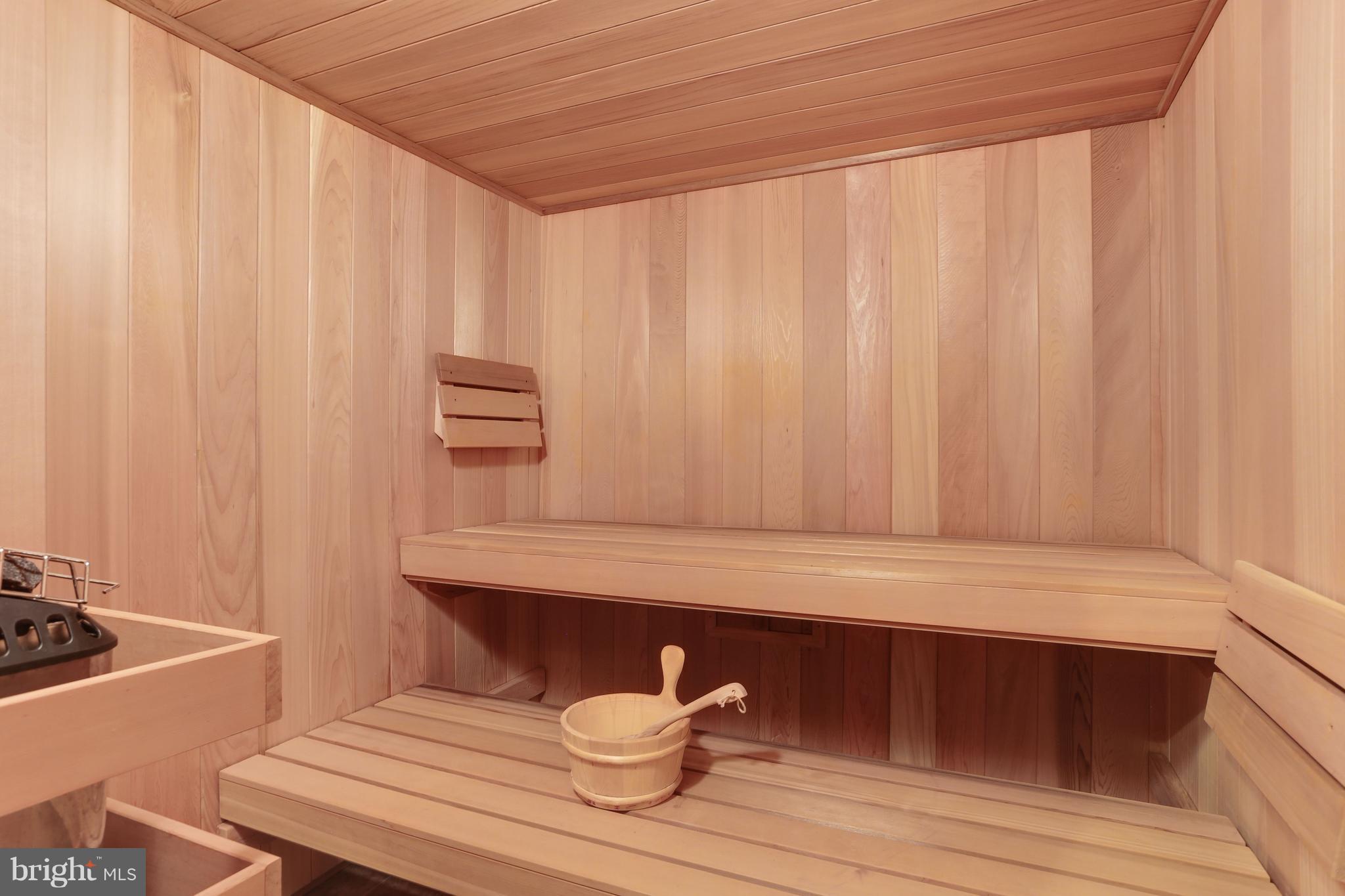 2976 Lonesome Dove Road Mount Airy, MD 21771 - Photo 23 of 30 Tranquil Sauna