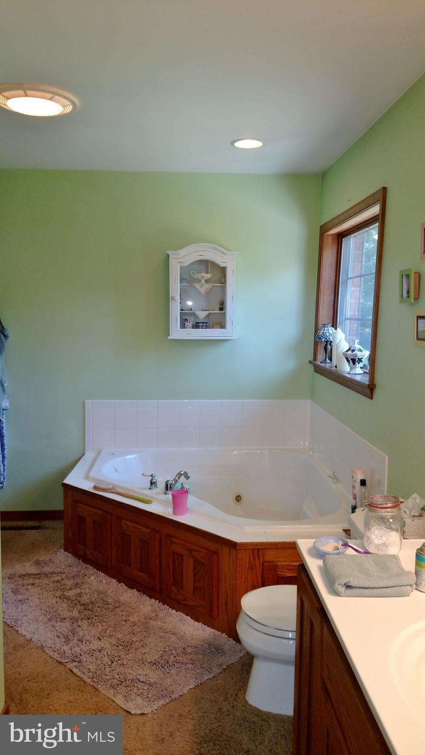 208 Walnut Dale Road Shippensburg, PA 17257 - Photo 17 of 30 Bath (Master)