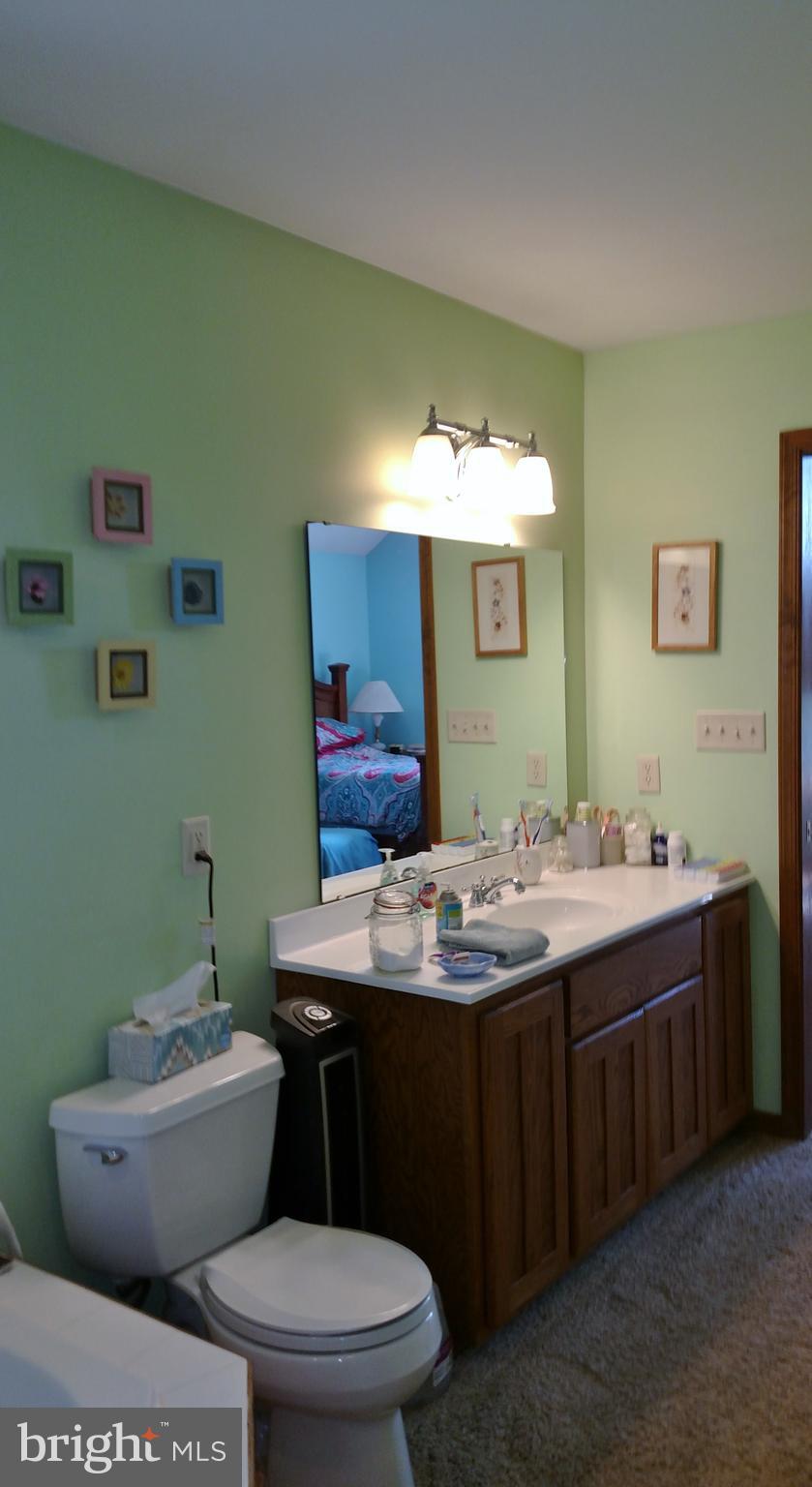 208 Walnut Dale Road Shippensburg, PA 17257 - Photo 18 of 30 Bath (Master)
