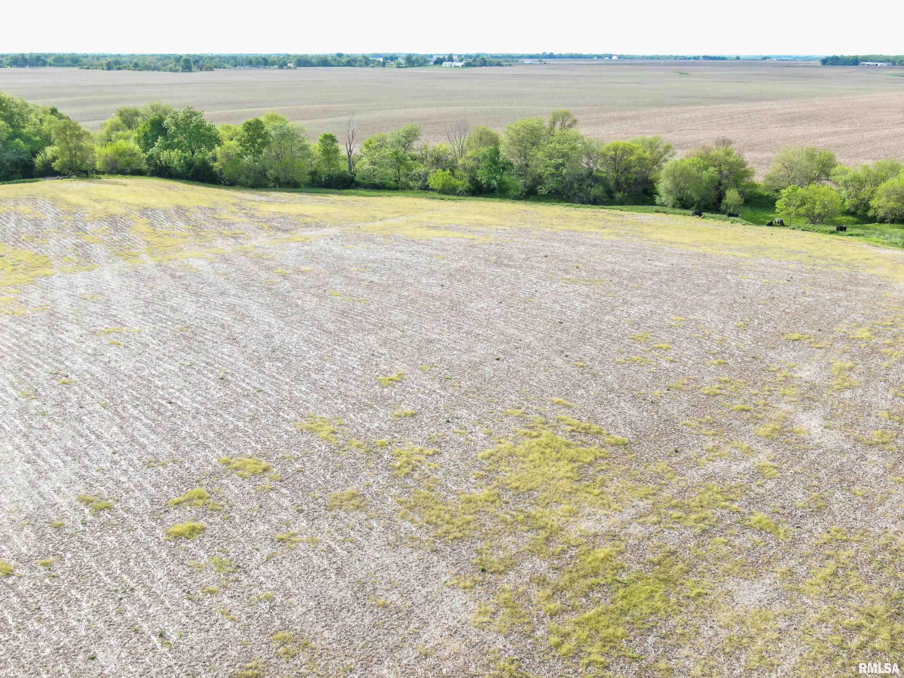 0 90th Street Monmouth, IL 61462 - Photo 13 of 13