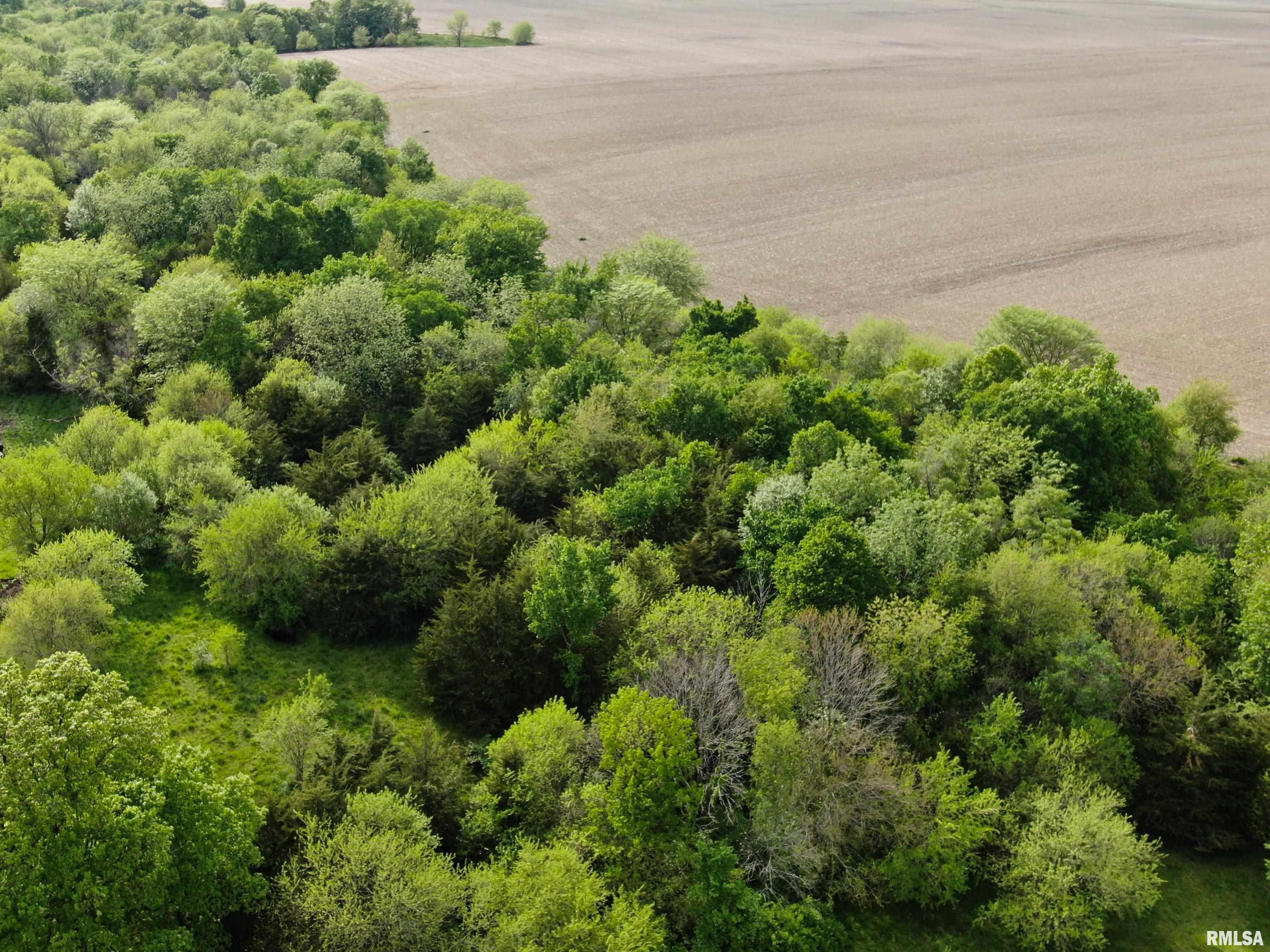 0 90th Street Monmouth, IL 61462 - Photo 9 of 13