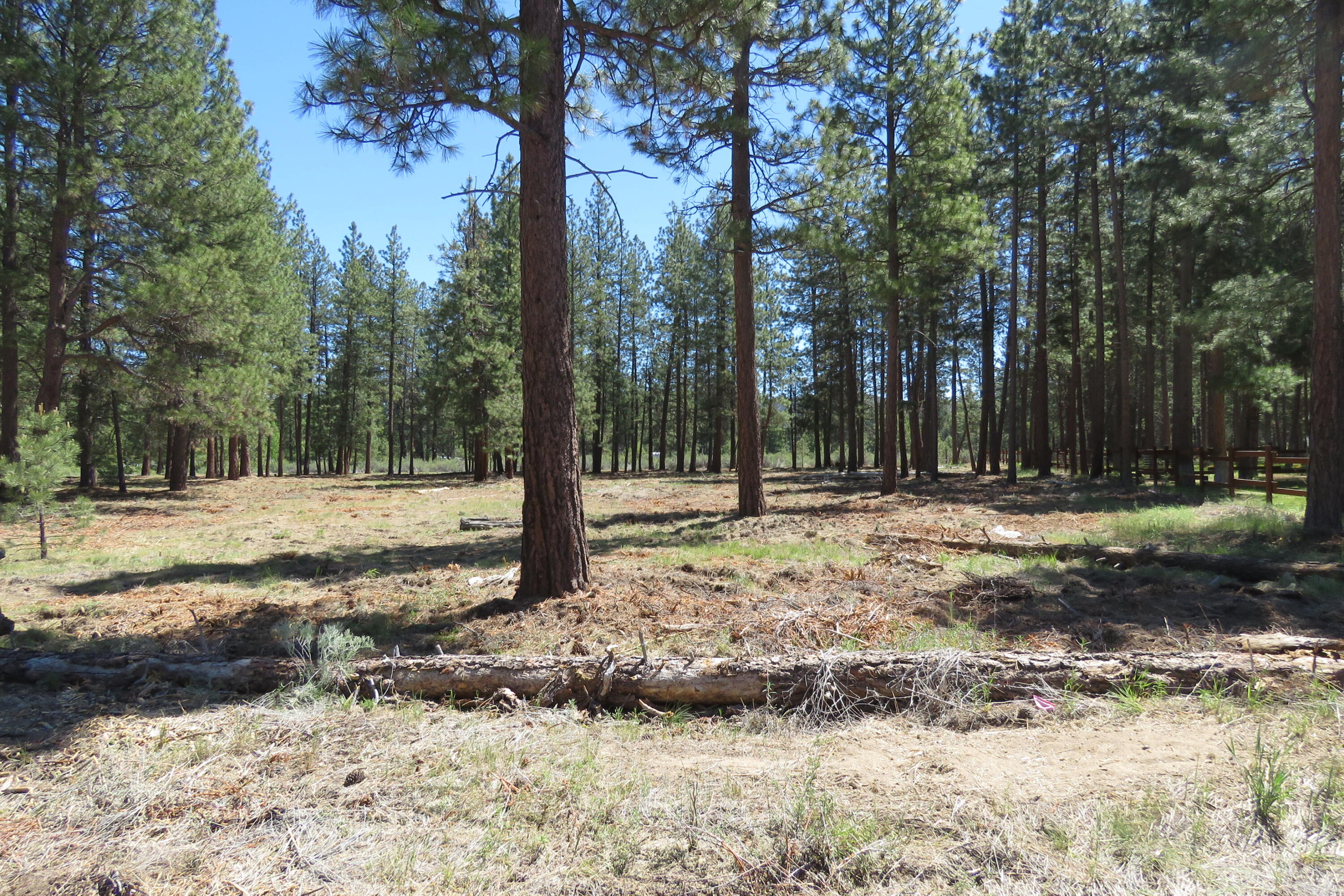 7 Castle Drive Chiloquin, OR 97624 - Photo 2 of 26 IMG_4594