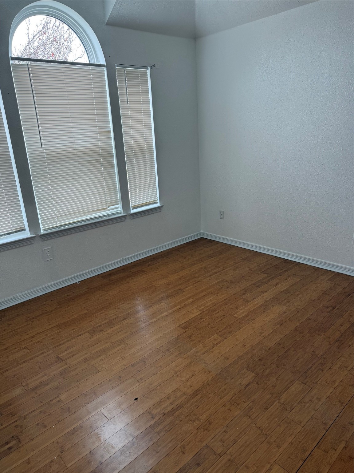 23702 Spring Dane Drive Spring, TX 77373 - Photo 25 of 25