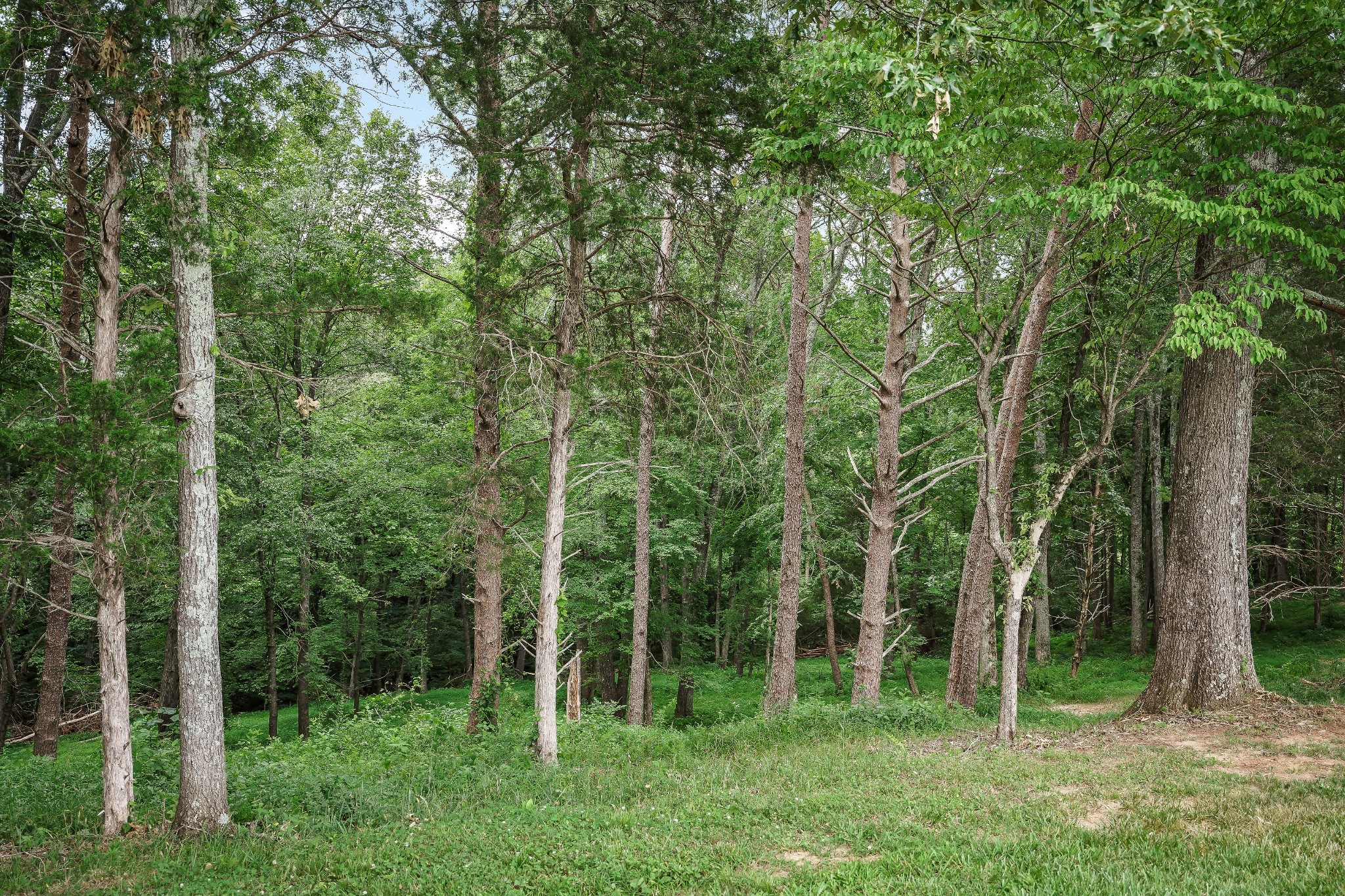 5750 Bunker Hill Road Cookeville, TN 38506 - Photo 51 of 89 Gallery Image 51