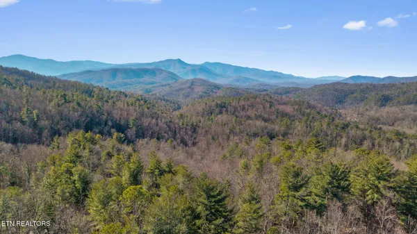 $350,000 | 4855 Teague Branch Road, Del Rio, TN 37727
