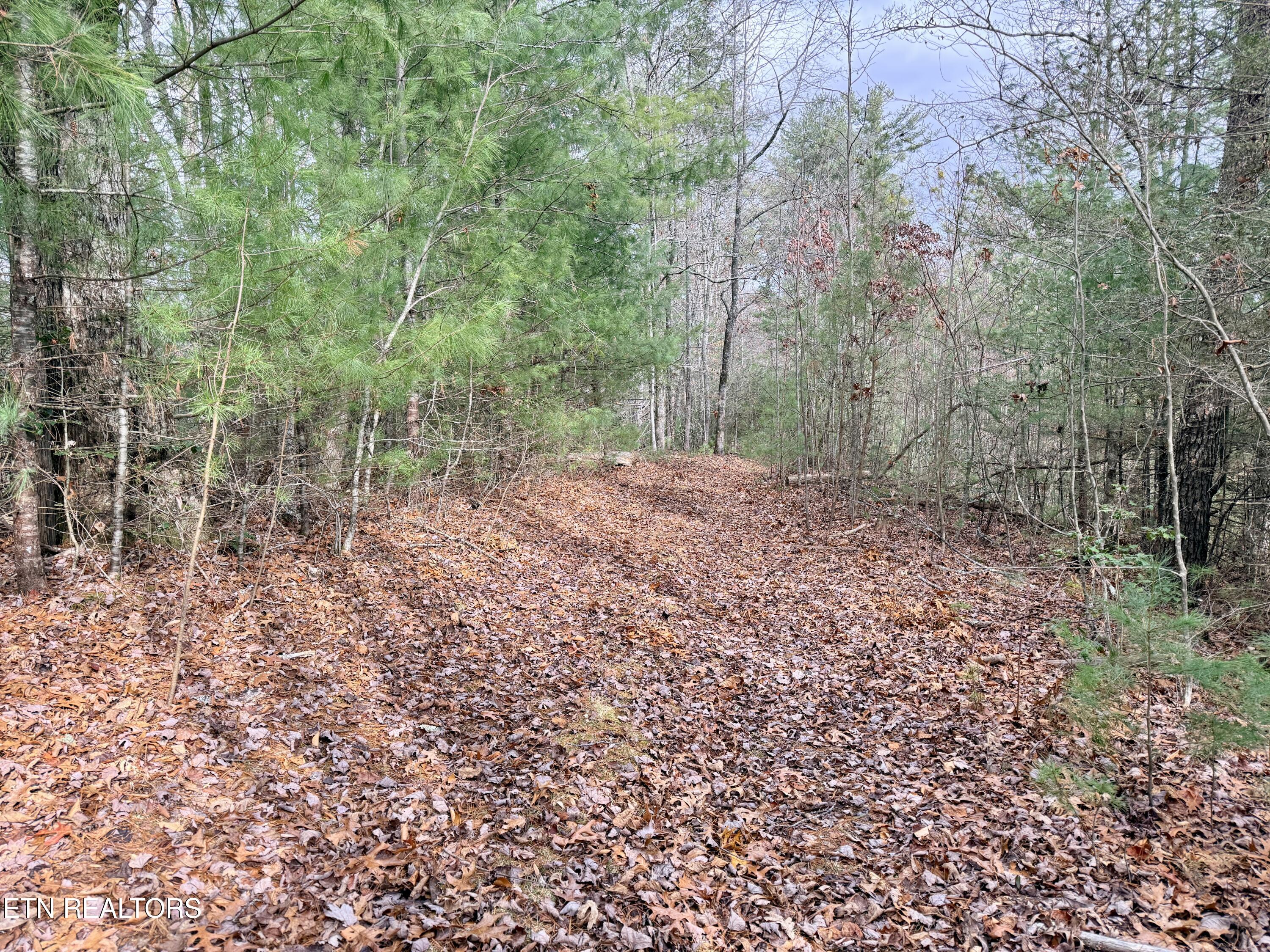 4855 Teague Branch Road Hartford, TN 37753 - Photo 11 of 22 0289E93D-4C75-4158-B64E-DBACC5C5B653_1_2