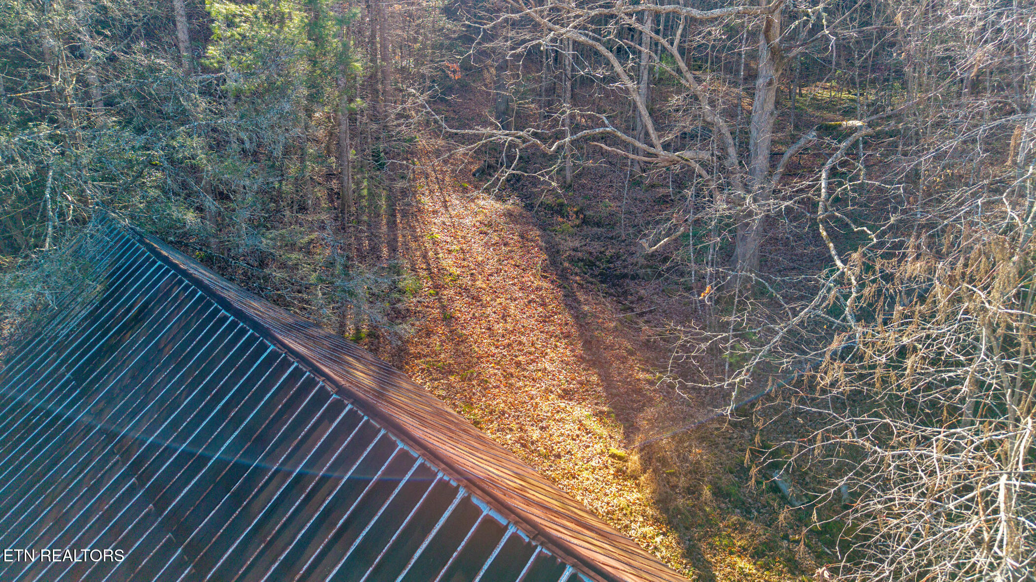 4855 Teague Branch Road Hartford, TN 37753 - Photo 15 of 22 dji_20260105112413_0043_d