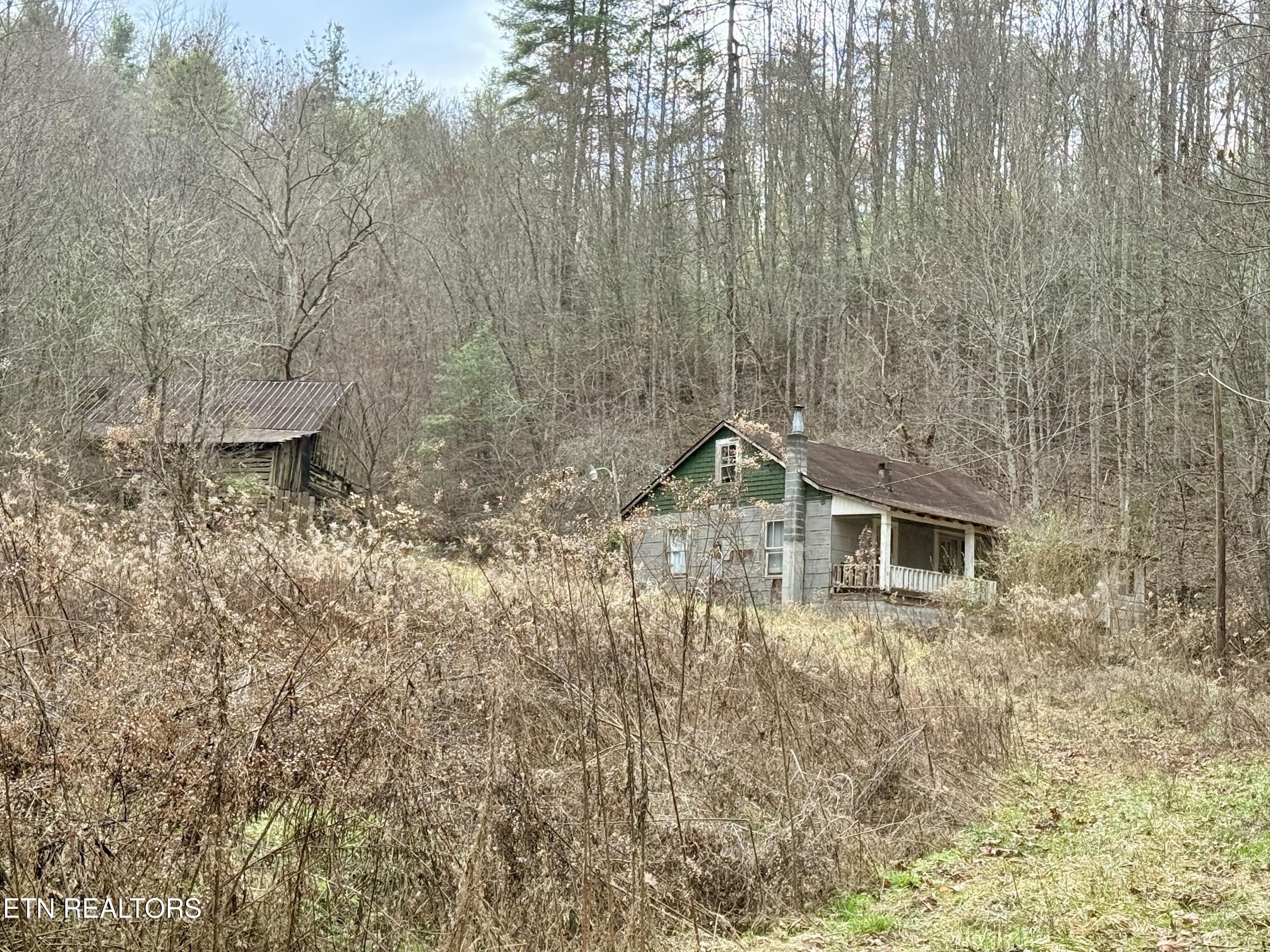 4855 Teague Branch Road Hartford, TN 37753 - Photo 4 of 22 E1150B7E-8DF4-4F81-A484-5F472C10685D_1_2