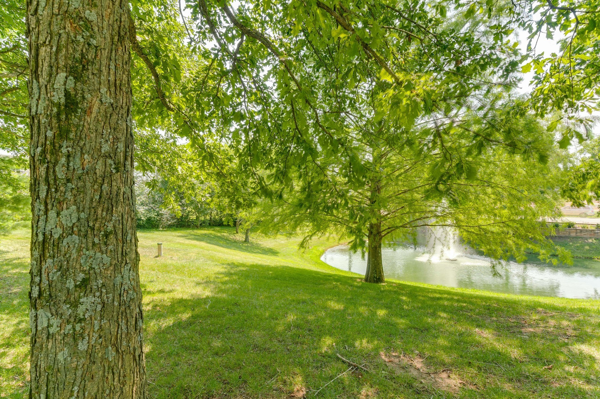 102 Stream Valley Boulevard Franklin, TN 37064 - Photo 62 of 69