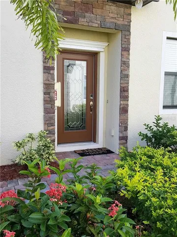 a flower plants in front of a door