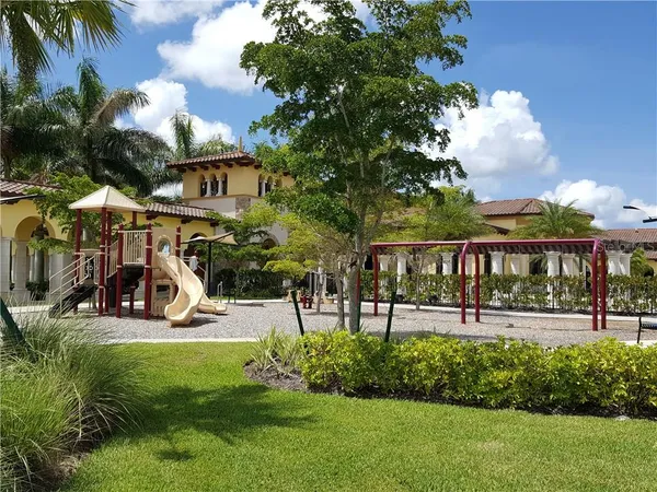 a view of a yard with plants and palm tree