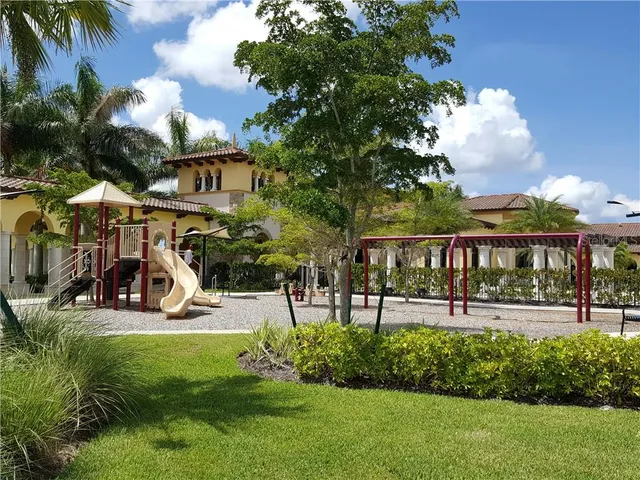 a view of a yard with plants and palm tree