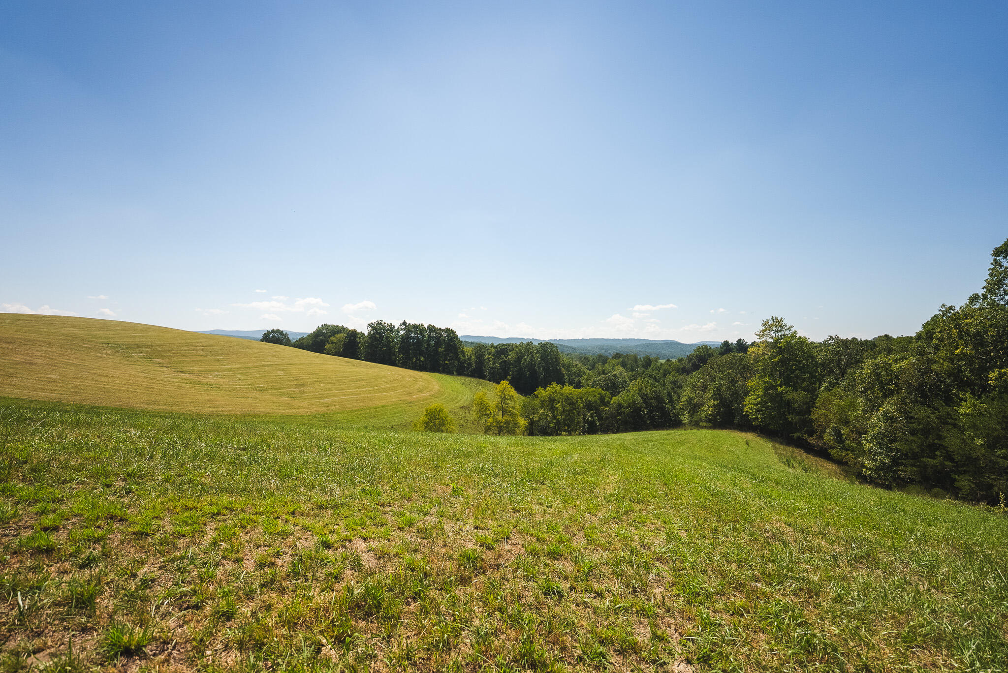 5902 Chestnut Ridge Road Riner, VA 24149 - Photo 40 of 50 DSC03658