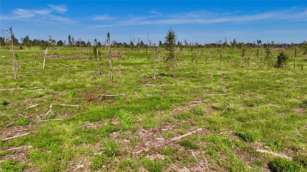 249 Southwest County Road Jasper, FL 32052 - Photo 12 of 29 a view of a large body of water with a building in the background