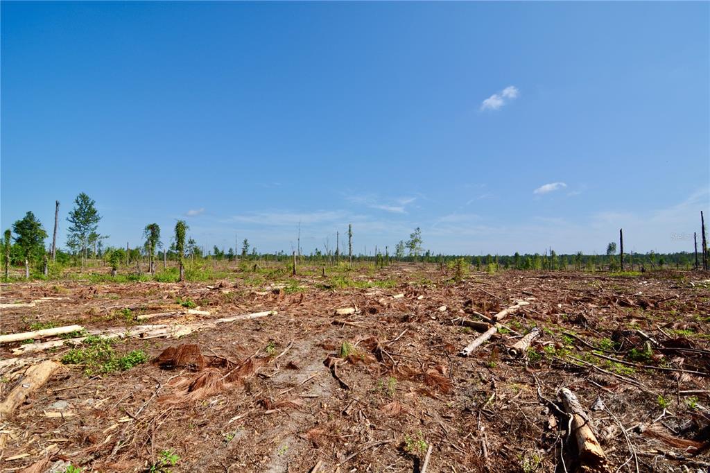 249 Southwest County Road Jasper, FL 32052 - Photo 14 of 29 a view of an ocean