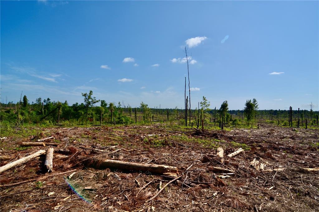 249 Southwest County Road Jasper, FL 32052 - Photo 15 of 29 a view of a lake