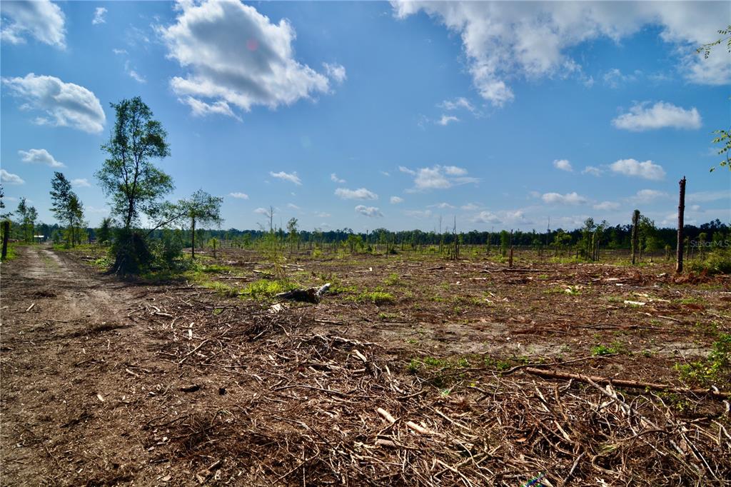 249 Southwest County Road Jasper, FL 32052 - Photo 17 of 29 a view of a lake from a yard