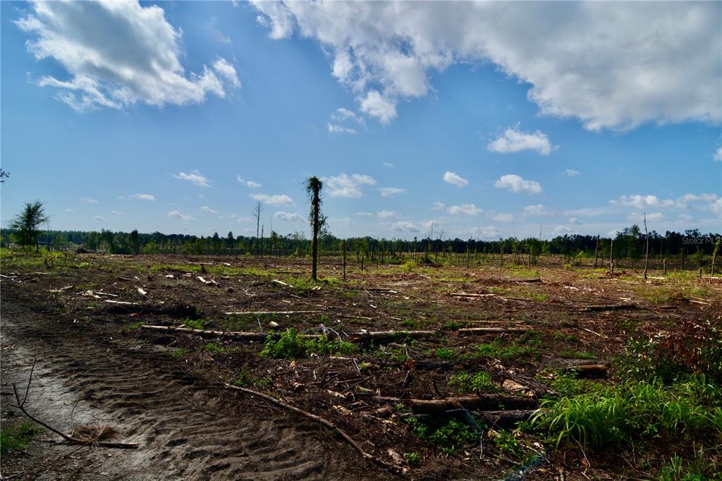 249 Southwest County Road Jasper, FL 32052 - Photo 18 of 29 a view of a lake