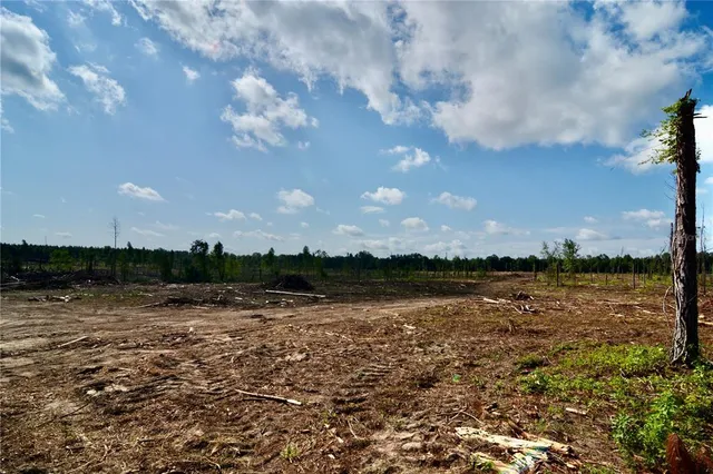 a view of a lake from a yard