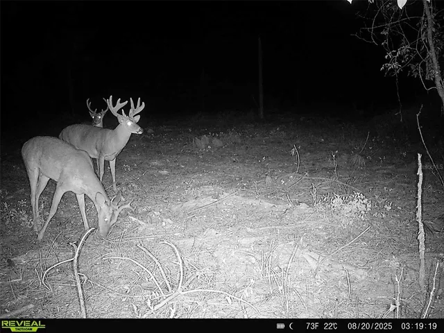 a view of entryway with livingroom