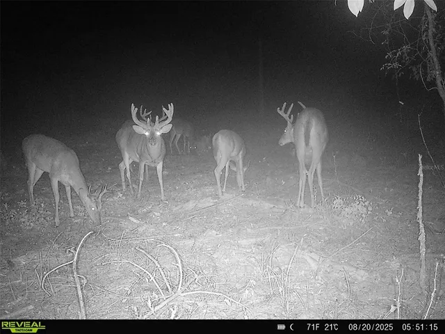 a view of a room with a table chairs and a table of wooden floor
