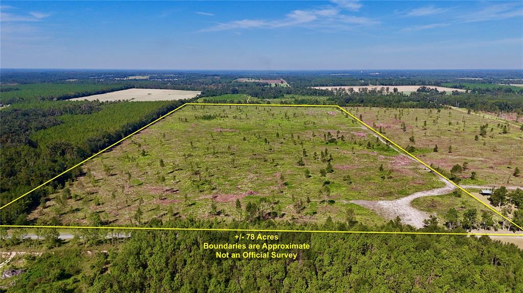 249 Southwest County Road Jasper, FL 32052 - Photo 5 of 29 a view of an ocean and mountain