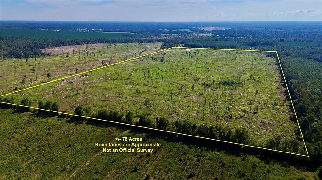 249 Southwest County Road Jasper, FL 32052 - Photo 6 of 29 a view of a balcony with an outdoor space