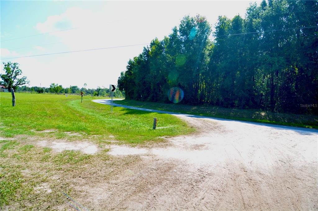 249 Southwest County Road Jasper, FL 32052 - Photo 8 of 29 a view of a park with large trees
