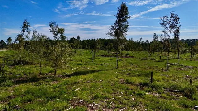 a view of a green field with lots of bushes