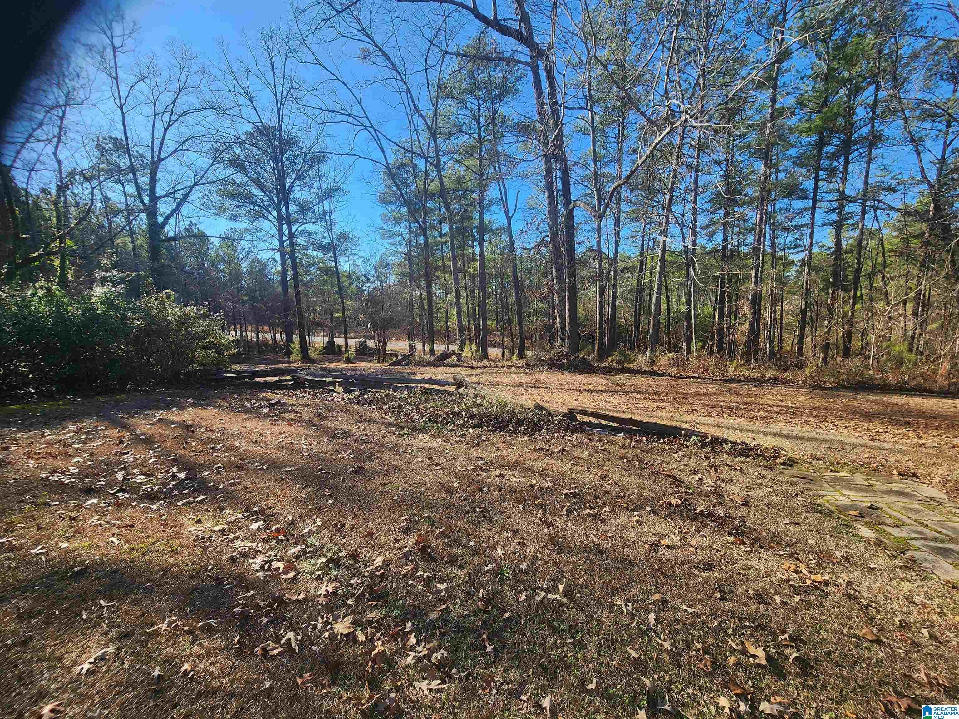 7350 Howells Cove Road Talladega, AL 35160 - Photo 74 of 78